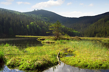 Reiseziele Bayerischer Wald